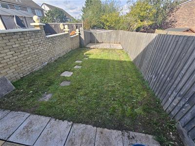 Picture 15